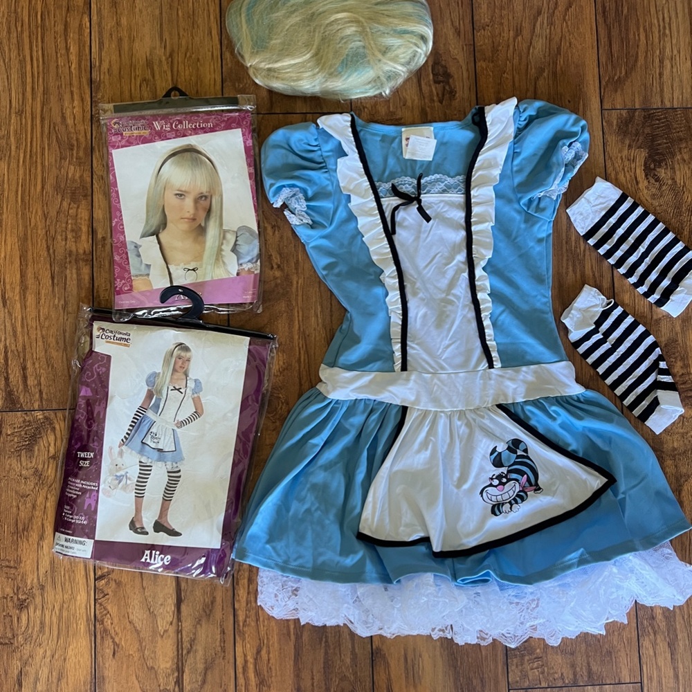 Alice in Wonderland Edgy Goth Tween Halloween Costume WITH WIG Kids 12/14